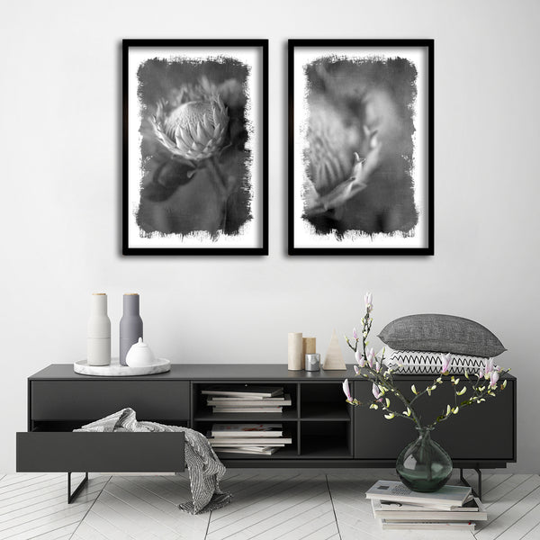 Brushed Blooms - 2x Large Art prints, Protea set 2