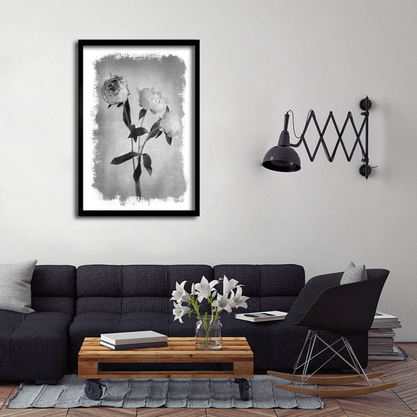 Brushed Blooms - 1x Large Art print, Peonies
