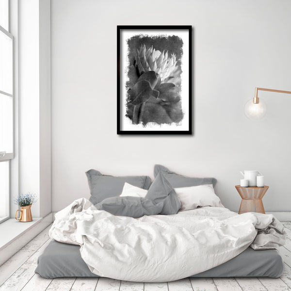 Brushed Blooms - 1x Large Art print, Protea 2