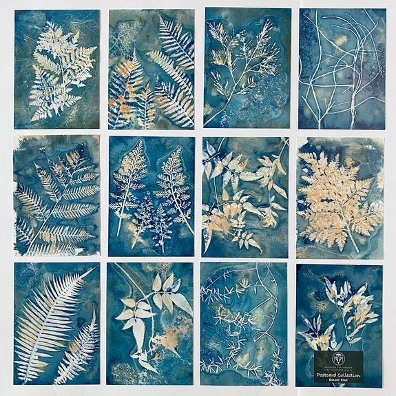 Postcard Collections - Botany Blue
