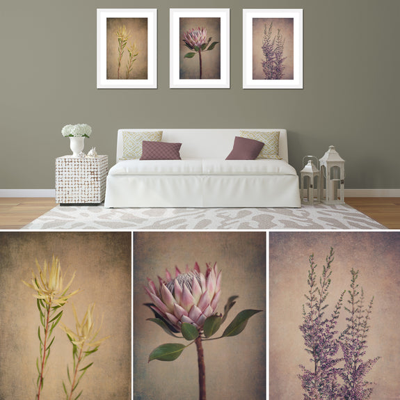Fynbos and Protea - 3x Large Art prints