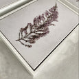 Fynbos Garden Gallery Wall - 10x Art prints