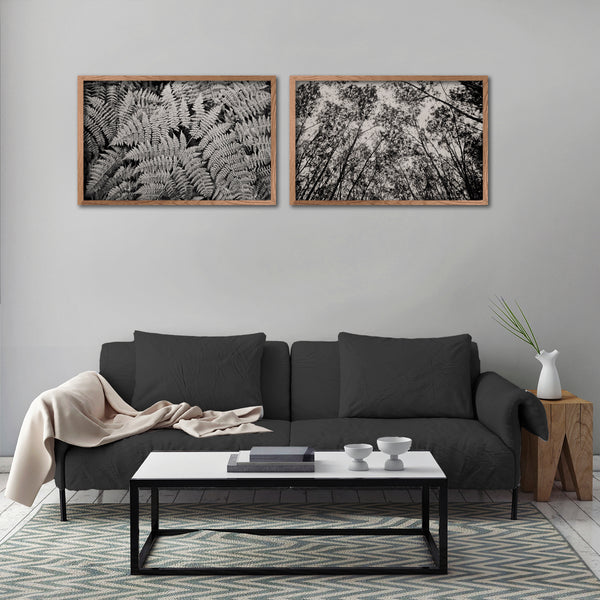 Mono Ferns&Trees - 2x Large Art prints