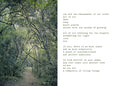 Earthsongs Forest - 2x Large Art prints