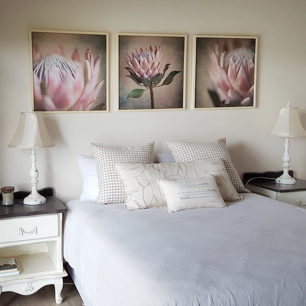 Protea Still