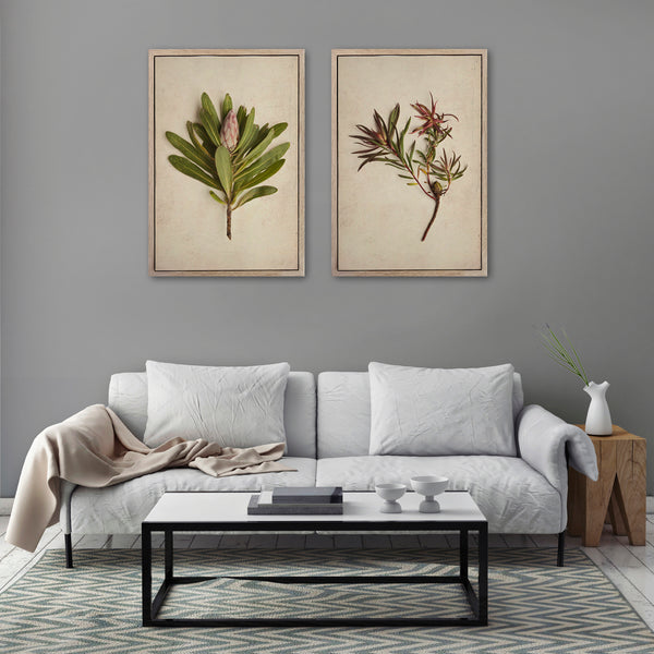 Fynbos Garden - 2x Large Art prints, set 2