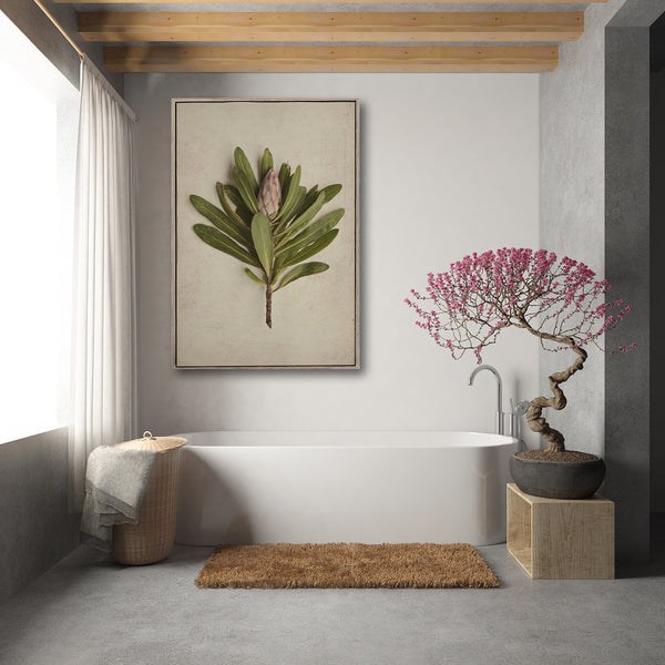 Fynbos Protea - 100x150cm Art print