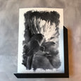 Brushed Blooms - 2x Large Art prints, Protea set 3