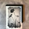 Brushed Blooms - 1x Large Art print, Poppies