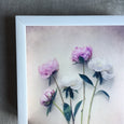 Peonies - 2x Large Art prints