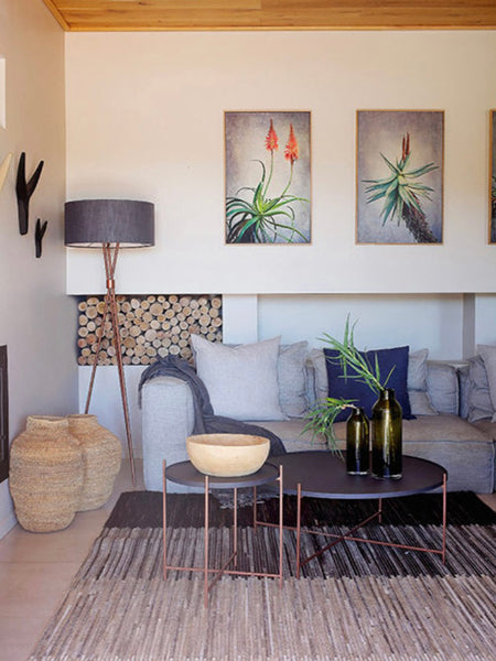 Aloes