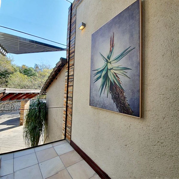 Aloe