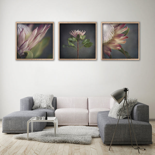 King on Gray - 3x Square Art prints