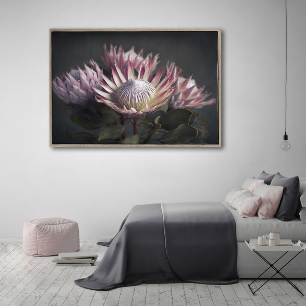 King on Gray 3 - 100x150cm Art print