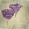Purple Floral - 2x Large Art prints