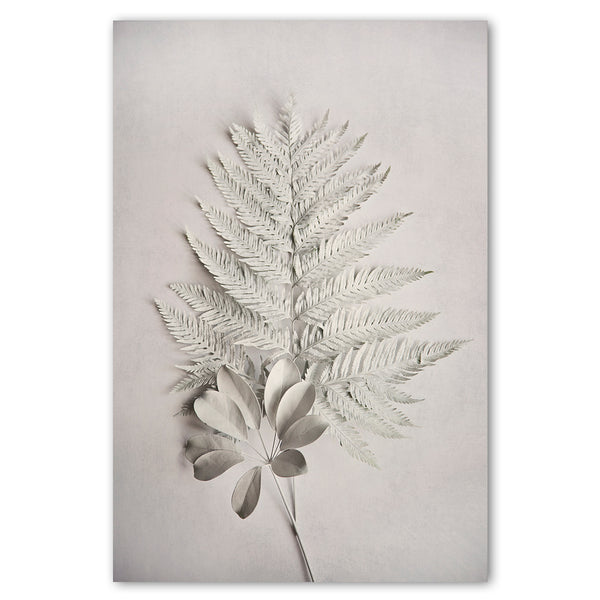 Alabaster Forest 4