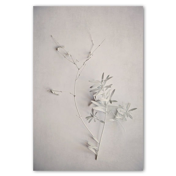 Alabaster Forest 5