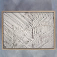 Alabaster Forest 7