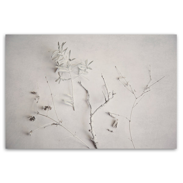 Alabaster Forest 8