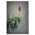 Aloe 2 - 100x150cm Art print