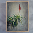 Aloe 2 - 100x150cm Art print