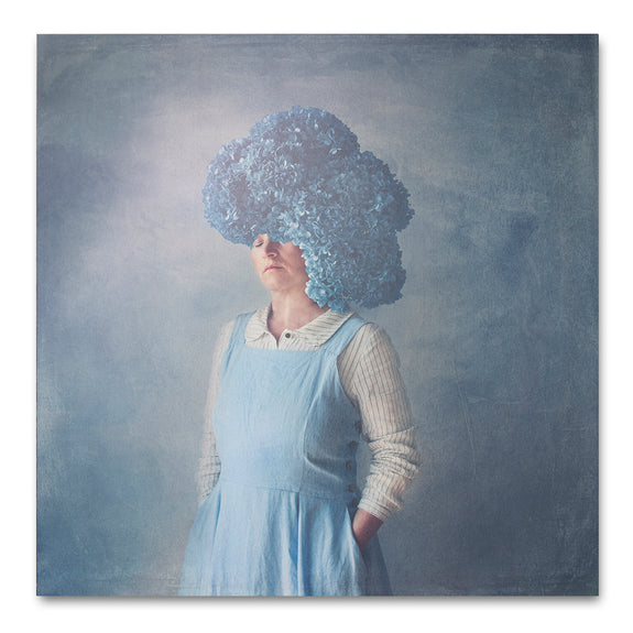 Bloom, Hydrangea - 1x 30x30cm Art Print, Unframed - ON SALE