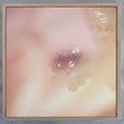 Blush Dreams - 3x Square Art prints