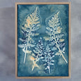 Botany Blue - 3x A2 Art prints
