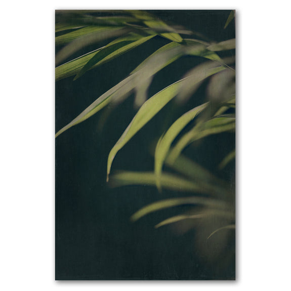 Dark Foliage 2 - 1x A4 Art Print, Unframed - ON SALE