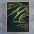 Dark Foliage - 2x Large Art prints