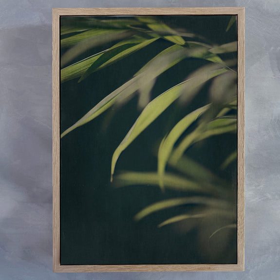 Dark Foliage 2