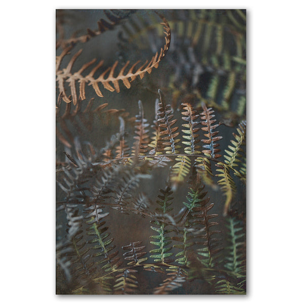 Earthy Ferns 2