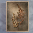 Earthy Ferns 2 - 100x150cm Art print