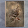 Earthy Ferns - 2x Large Art prints, set 2