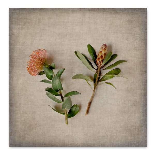 Fynbos on Linen 11