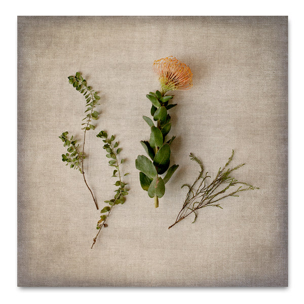 Fynbos on Linen 4