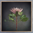 King on Gray Gallery Wall - 8x Art prints