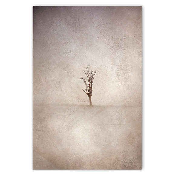 Lone Tree 2 - 1x A4 Art Print, Unframed - ON SALE