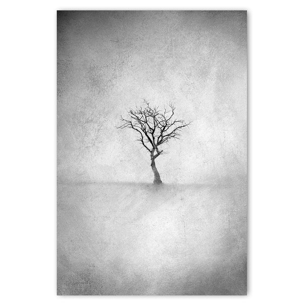 Lone Tree 3 BW