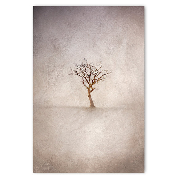 Lone Tree 3 - 1x A4 Art Print, Unframed - ON SALE