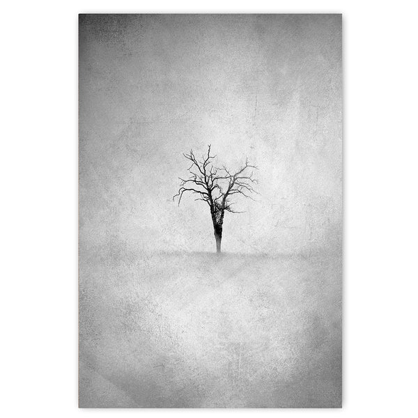 Lone Tree 4 BW