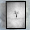 Lone Tree - 2x A2 Art prints, black frames