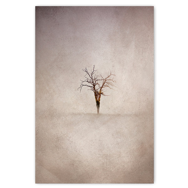Lone Tree 4 - 1x A4 Art Print, Unframed - ON SALE