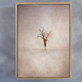 Lone Tree - 2x A2 Art prints, Oak frames