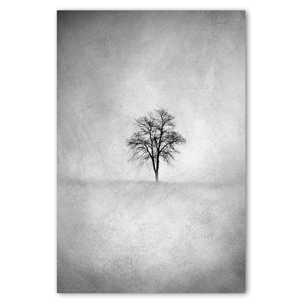 Lone Tree 1 BW