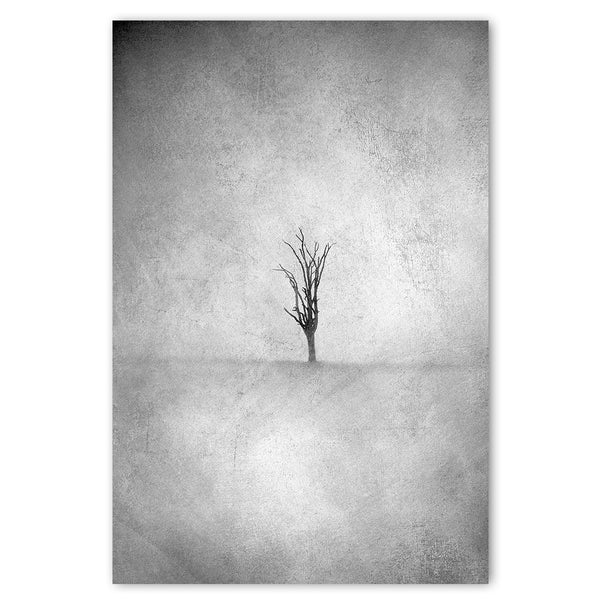 Lone Tree 2 BW