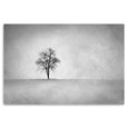 Lone Tree LS BW