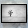 Lone Tree LS BW