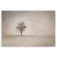 Lone Tree LS - 100x150cm Art print