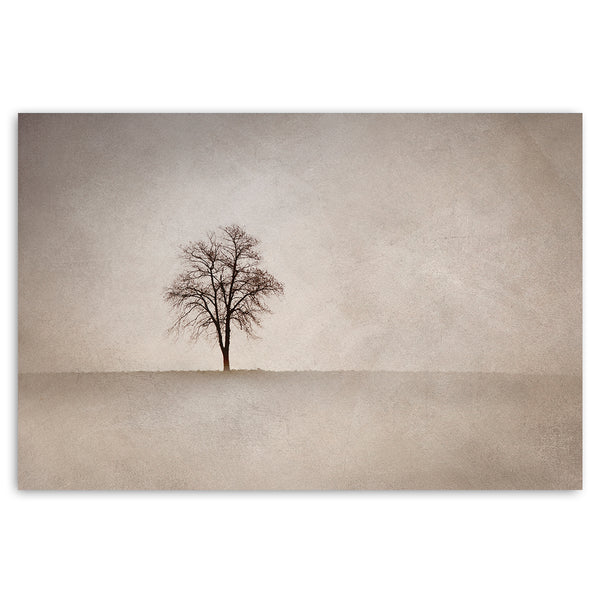 Lone Tree LS WARM